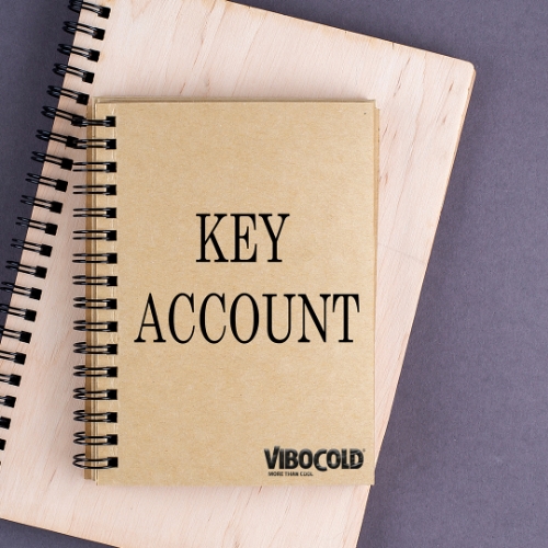 Vi søger en teknisk stærk Key Account Manager